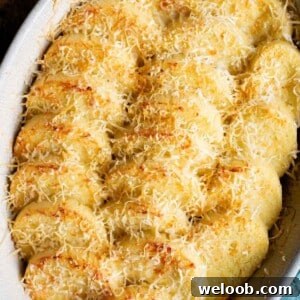 A close up of gnocchi alla Romana in a baking dish topped with Parmigiano Reggiano cheese.