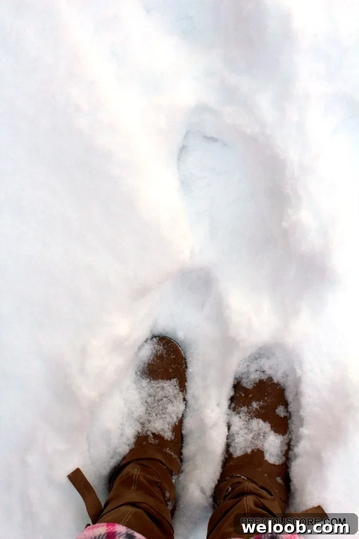 walking-snow