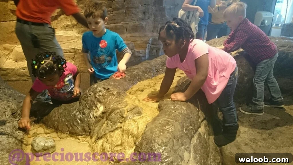 Kids playing