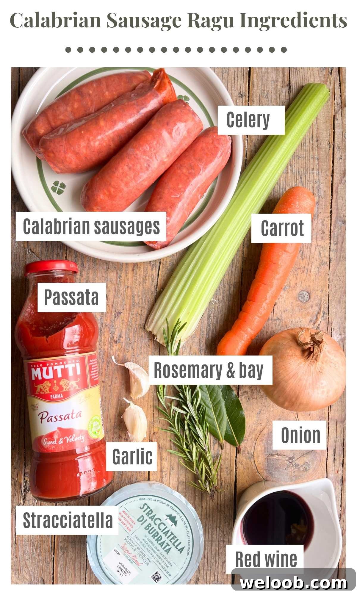An overhead shot of all the ingredients needed to make spicy Calabrian sausage ragu.