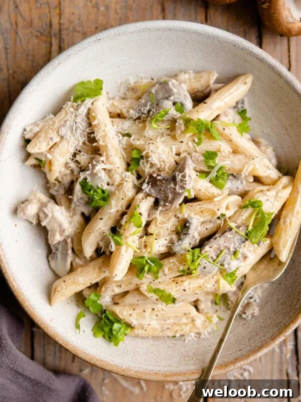 Creamy Sausage Ragu Gnocchi Recipe for Comfort Dinner 8 An overhead shot of pasta in a bowl with mushrooms and sausage