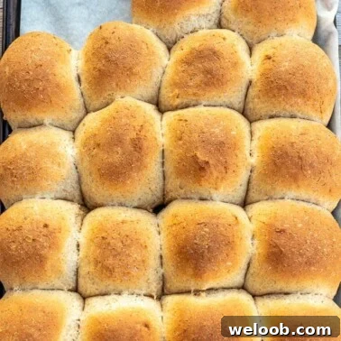 Baked honey whole wheat dinner rolls on a baking sheet lined with parchment paper