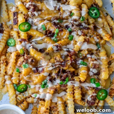 Square image of loaded french fries.