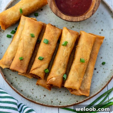 Square image of beef spring rolls.