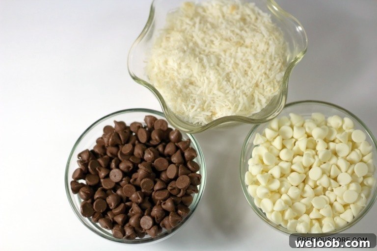 Bowl of chocolate chips and coconut flakes.