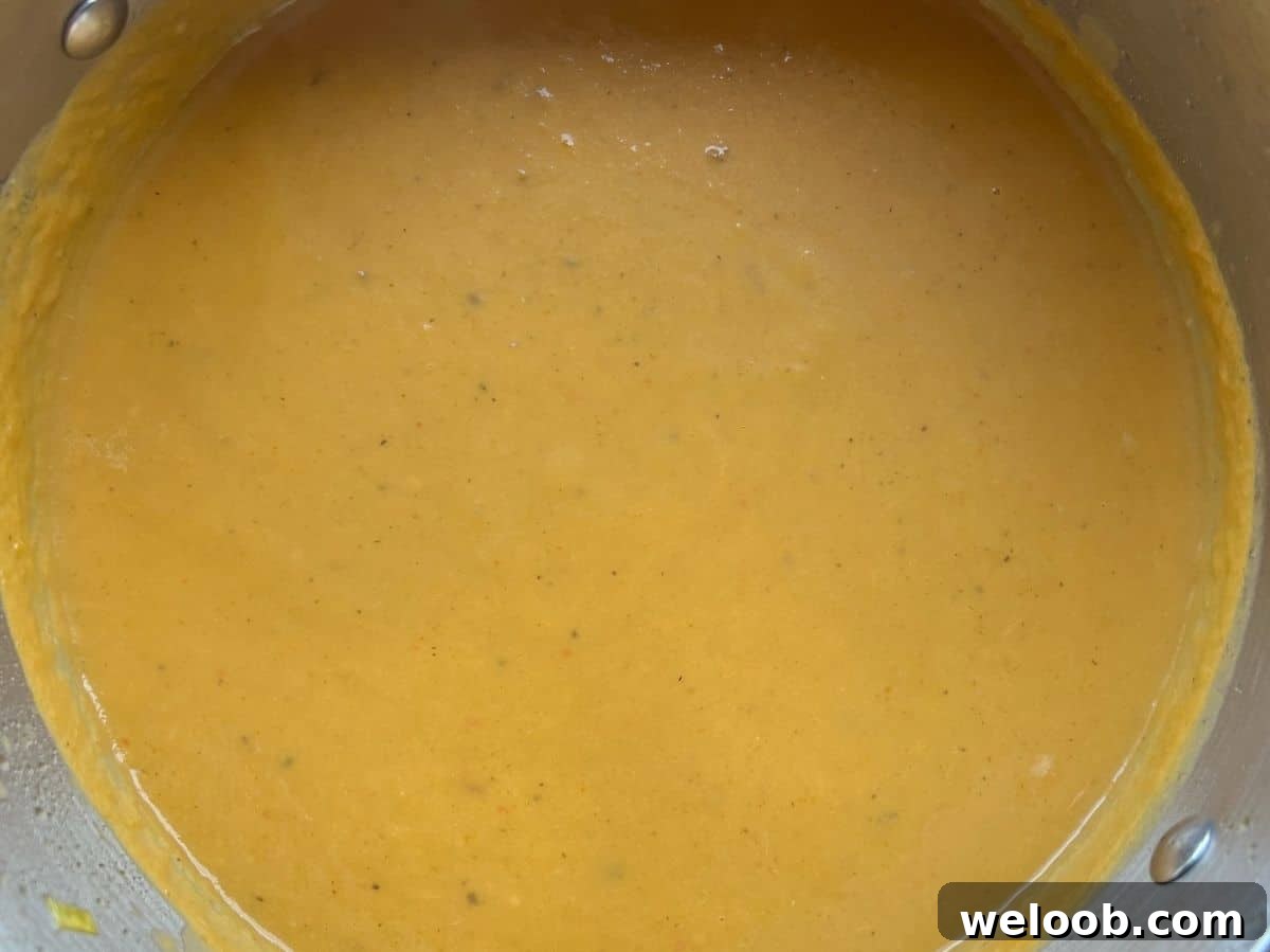 One photo showing a close up of a smooth pureed soup.