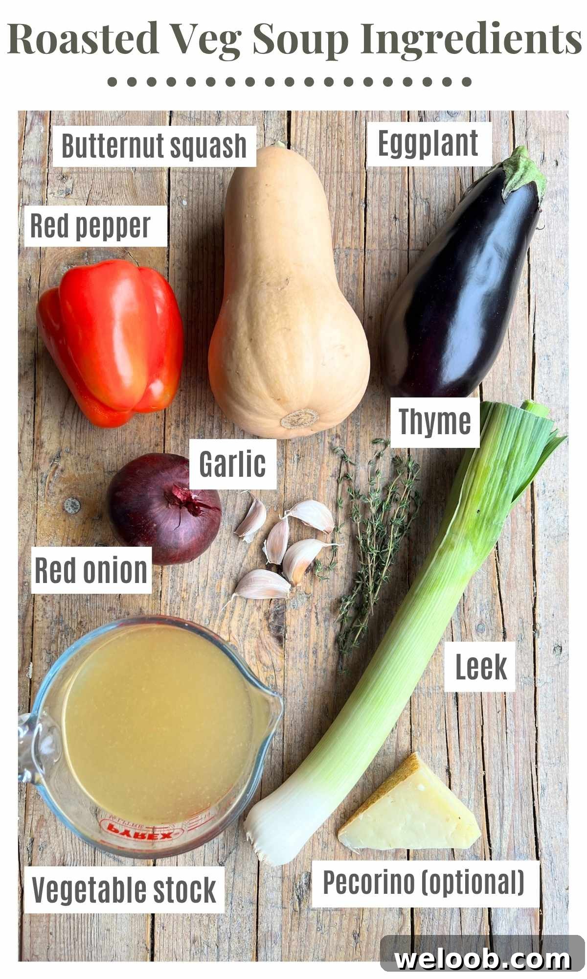 An overhead shot of ingredients needed to make roasted vegetable soup. The text labels read: butternut squash. red pepper, eggplant, garlic, red onion, leek. veg stock. thyme. pecorino (optional).