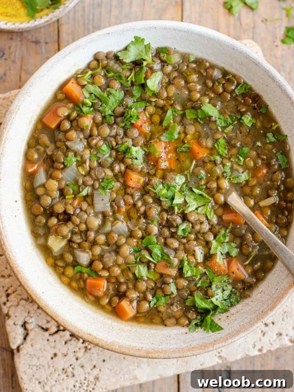 An overhead shot of Italian lentil soup in a bowl
