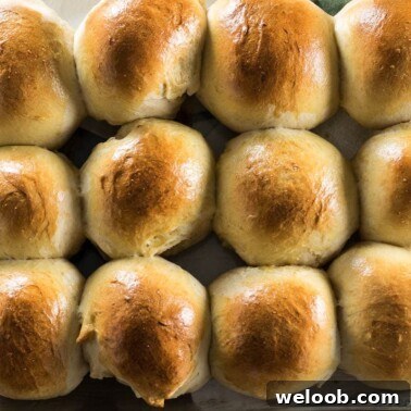 Sweet Dinner Rolls in baking pan