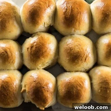 Sweet Dinner Rolls in baking pan