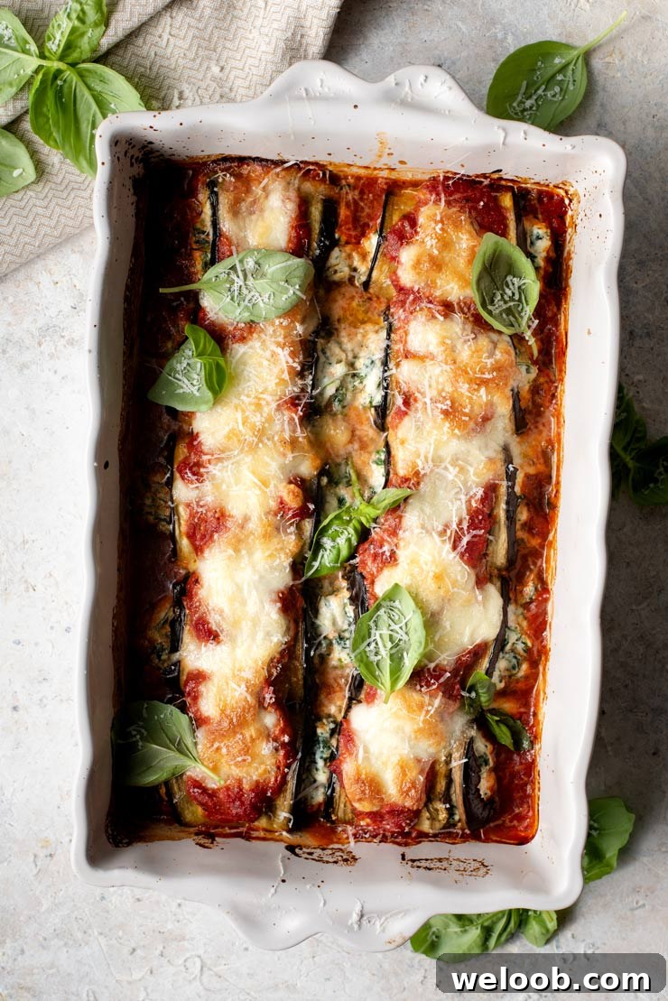 An overhead shot of eggplant rollatini with spinach and ricotta in a baking dish