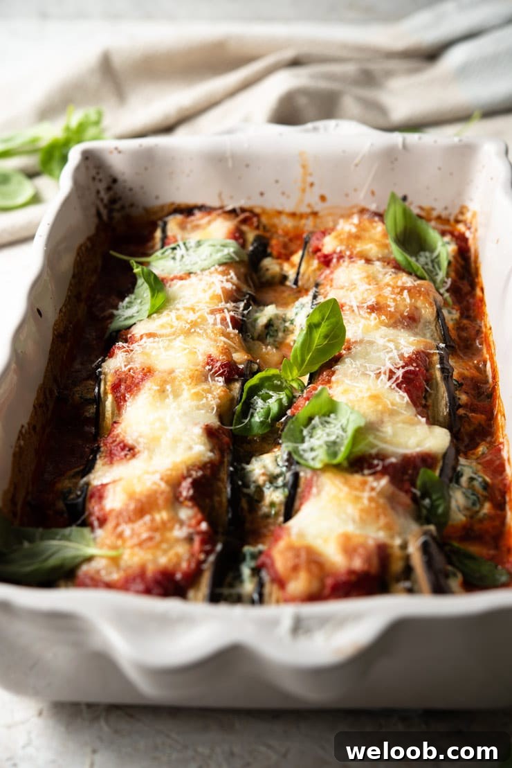 A side shot of eggplant rollatini in a baking dish topped with basil and mozzarella