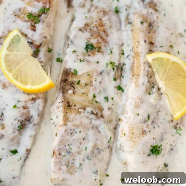Square image of fish in a creamy sauce.