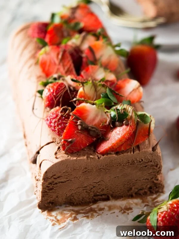 A chocolate semifreddo recipe on a white surface topped with fresh berries