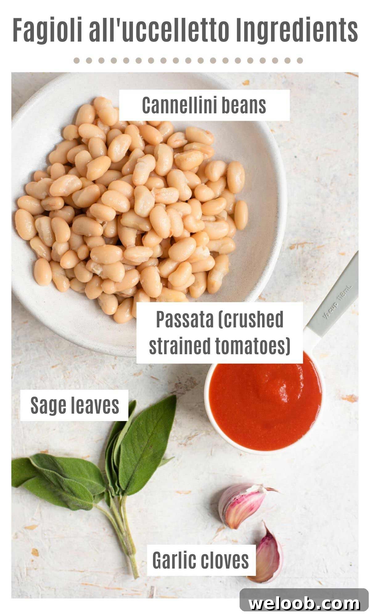 An overhead shot of all the ingredients you need to make fagioli all'uccelletto