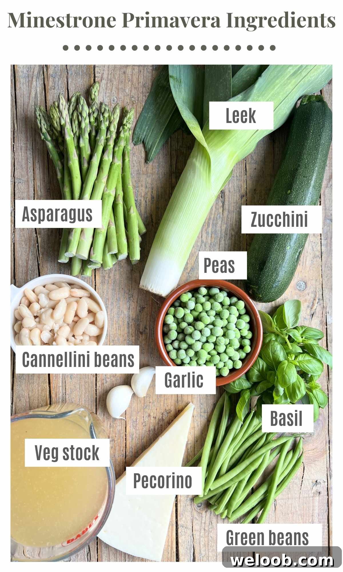 An overhead shot of all the ingredients needed to make minestrone primavera (Italian spring vegetable soup).