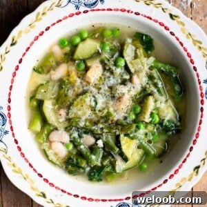 A close up of an Italian spring vegetable soup (minestrone primavera) in a vintage style bowl.