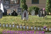 Halloween Photo Highlights: Spooky Costumes and Creative Shots