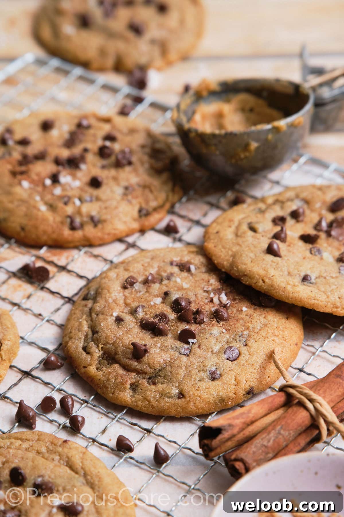 Large cinnamon chocolate chip cookies on oven rack.