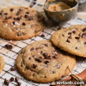 Large cinnamon chocolate chip cookies on oven rack.