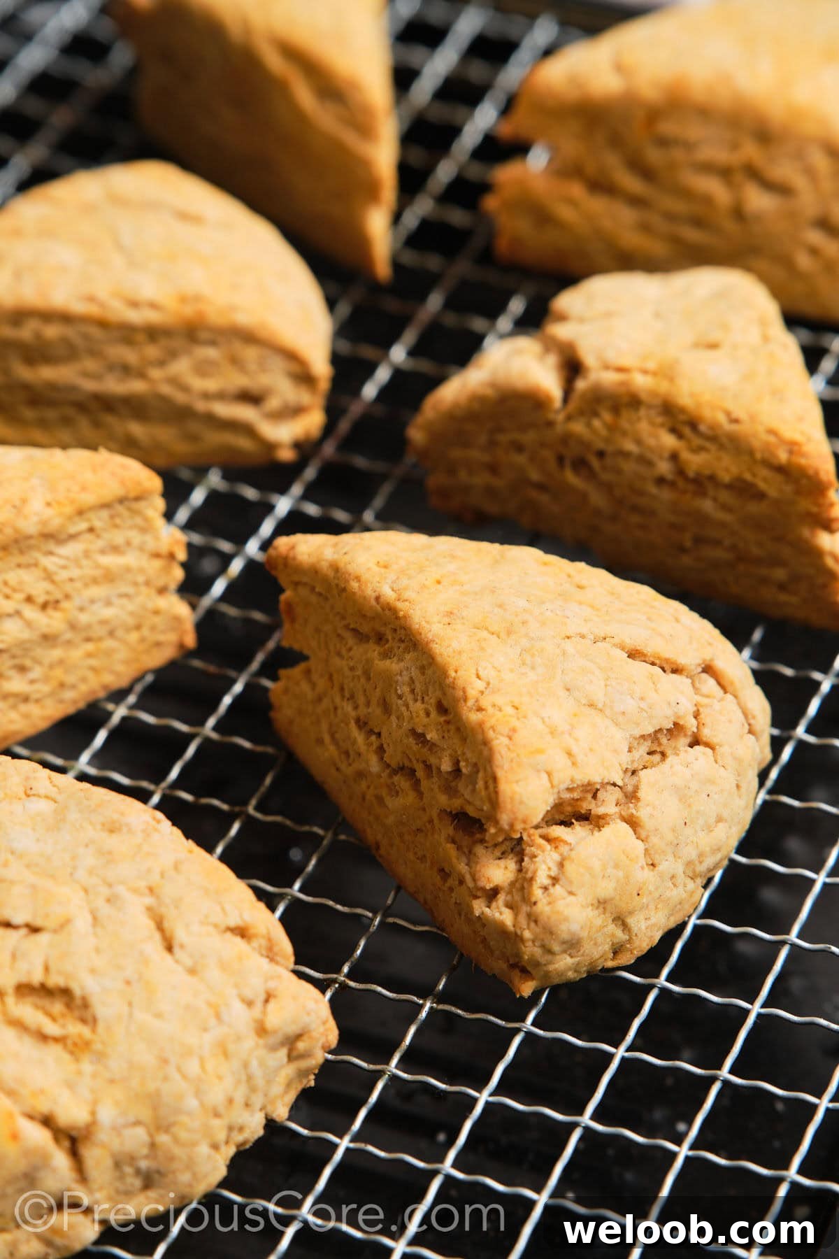 Buttery Sweet Potato Scones with Maple Glaze Recipe 15 Scones cooling on a wire rack.