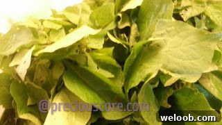 img 278 12