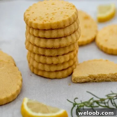 Square image of cookies.