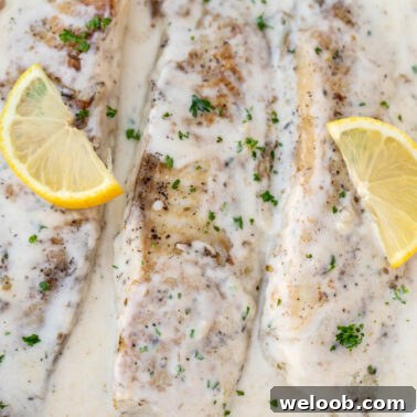 Square image of fish in a creamy sauce.