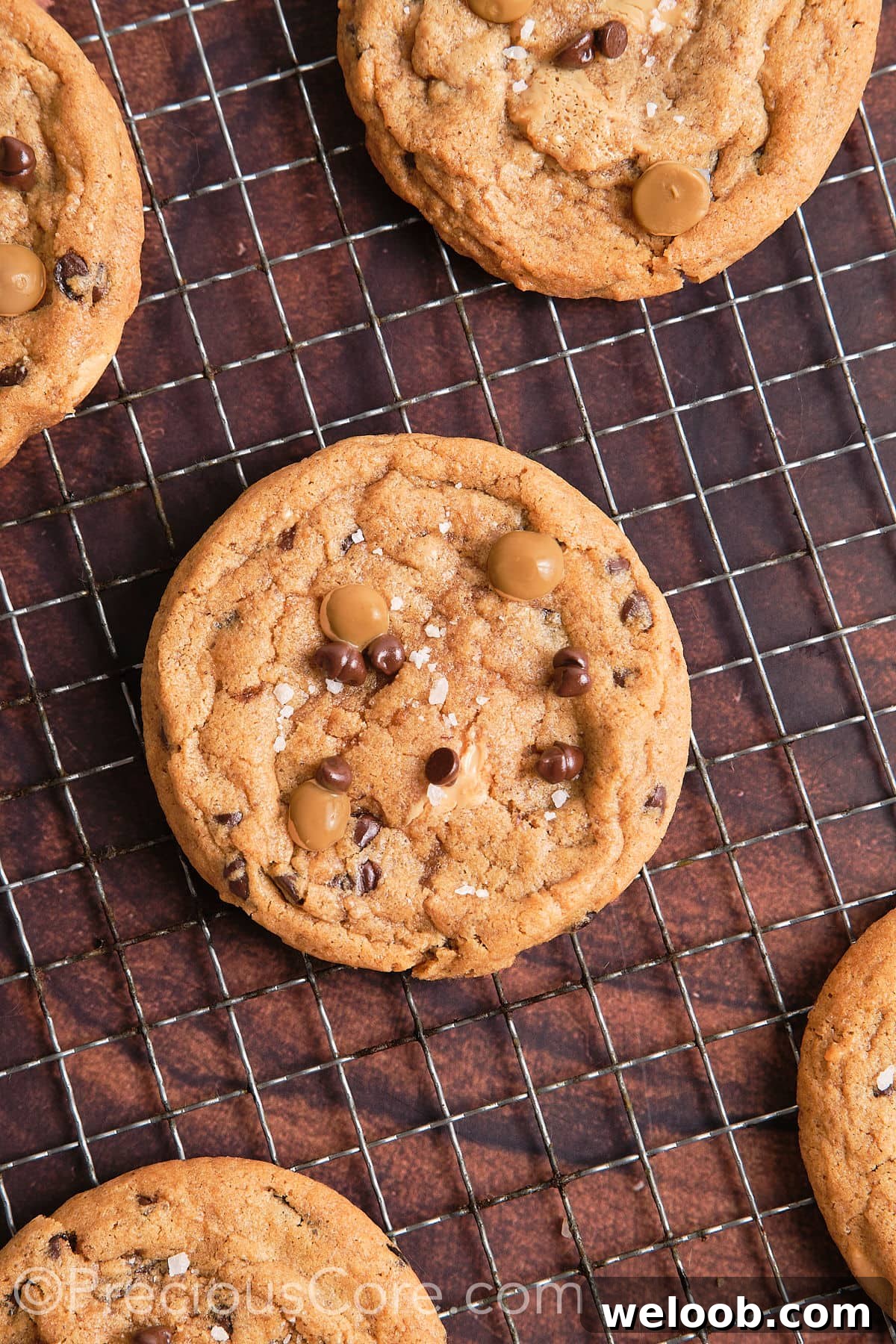 Chocolate Chip Butterscotch Chip Cookies on a resting tray