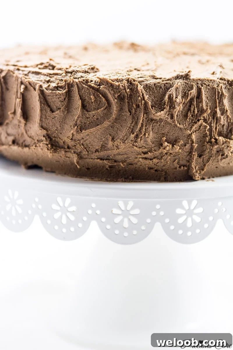 Classic Chocolate Cake - Precious Core