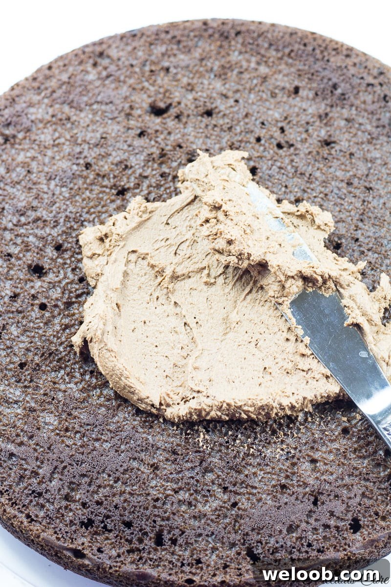 frosting chocolate cake