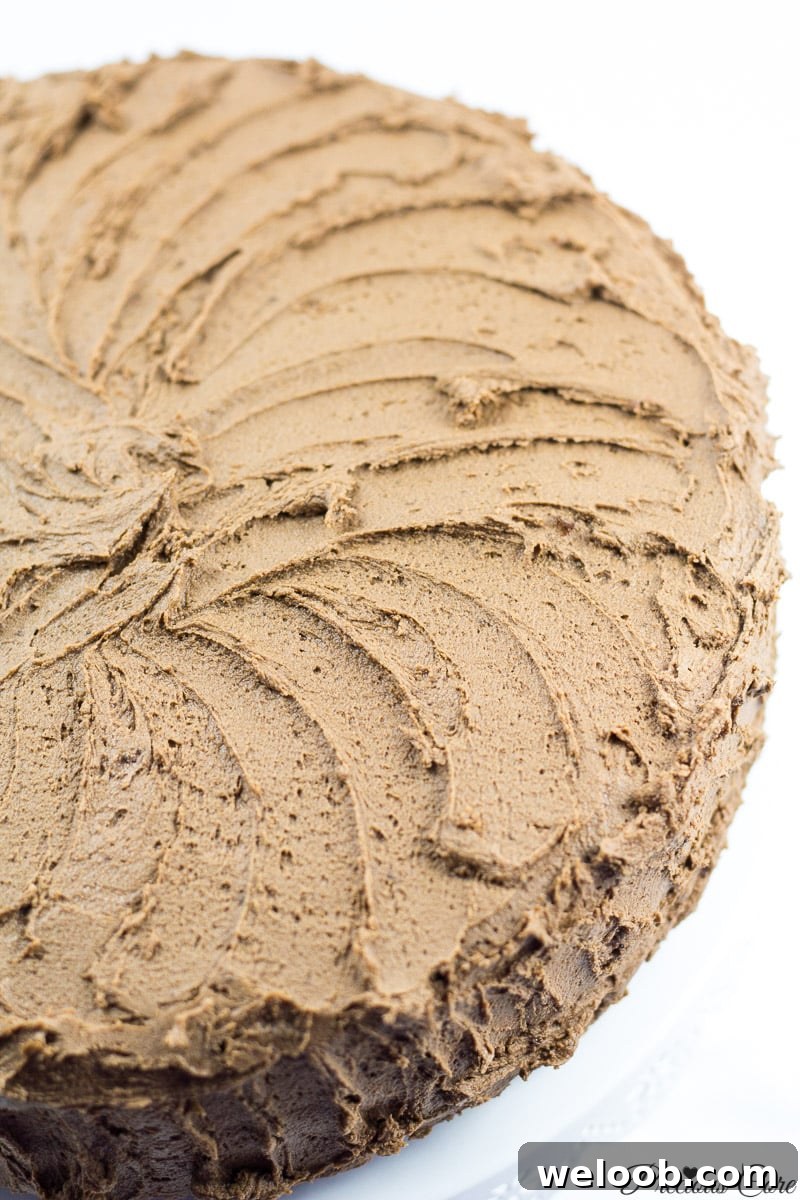 perfectly frosted chocolate cake