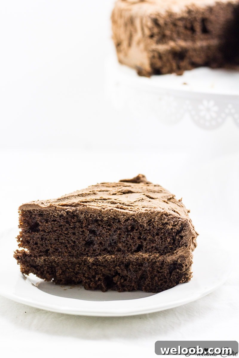 Perfect chocolate cake - Precious Core