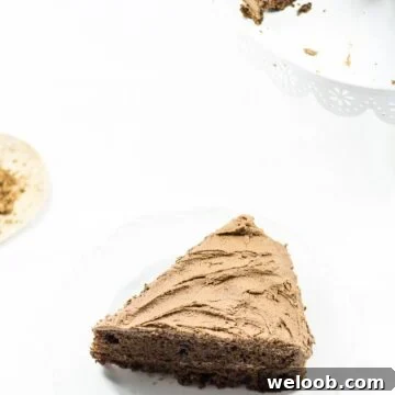 Slice of chocolate cake on a white background.