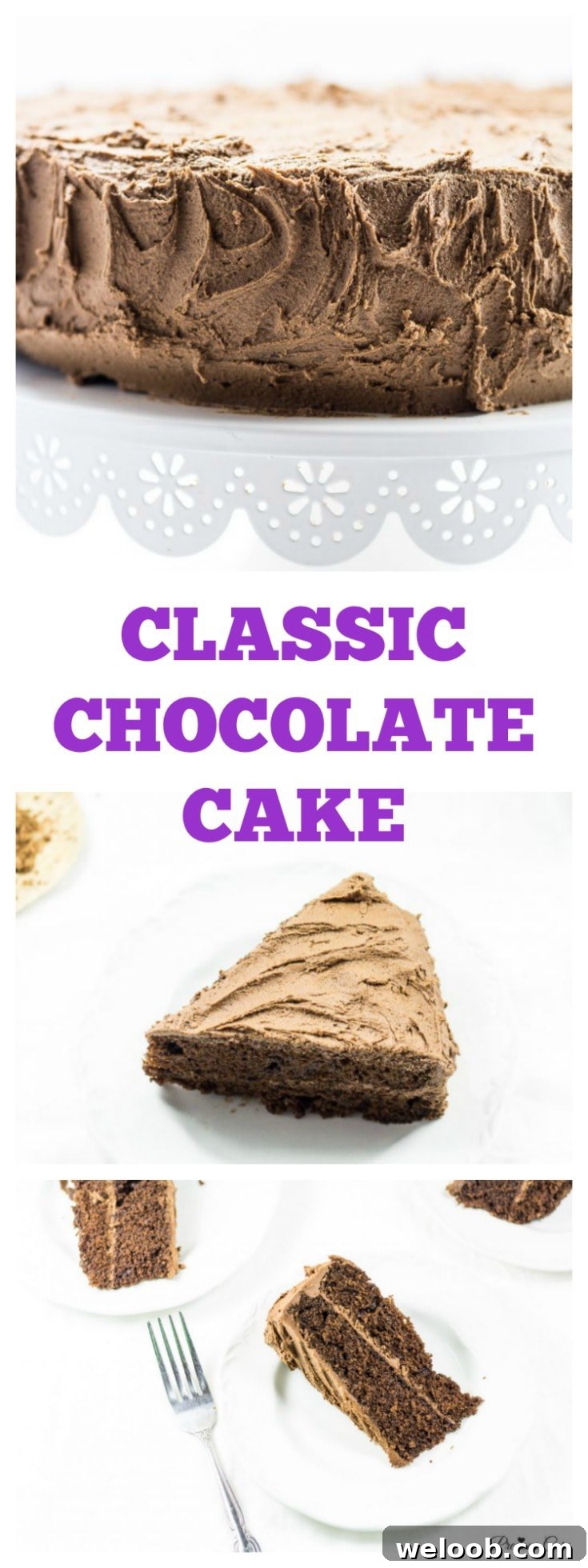Classic Chocolate Cake - Precious Core