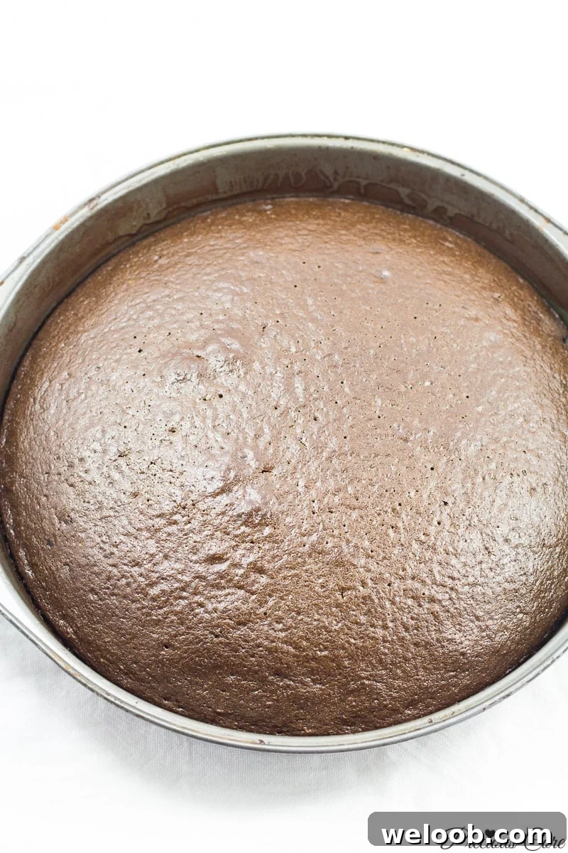 classic chocolate cake just baked