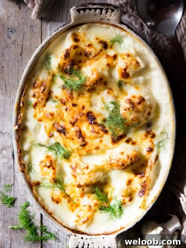 baked cauliflower cheese in a oval baking dish