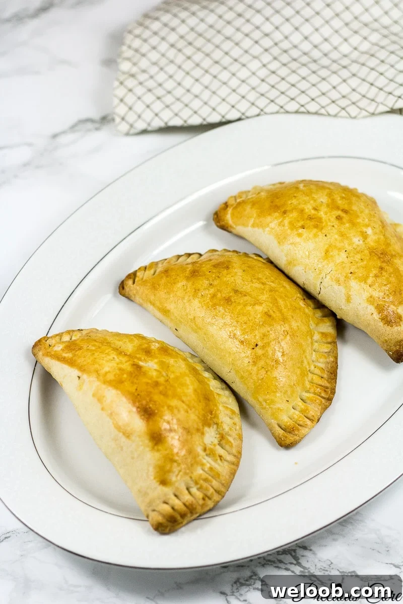 best meat pie recipe
