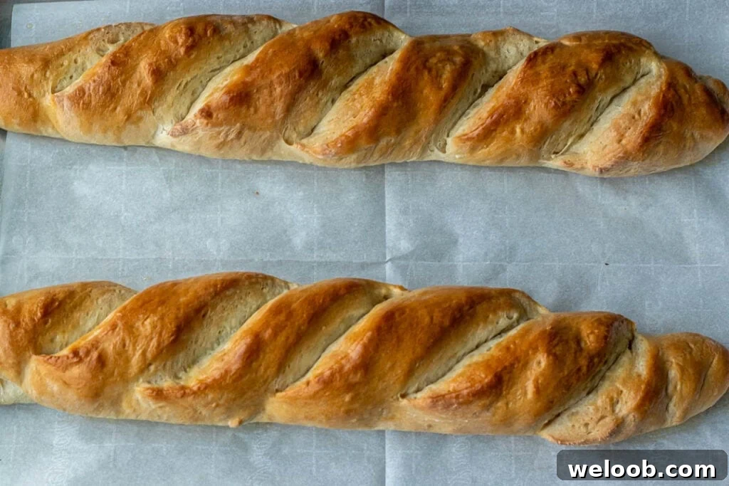 Freshly baked homemade French bread on baking sheet