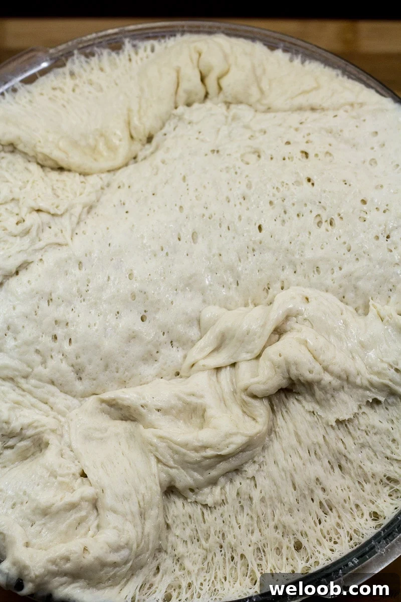 french bread dough