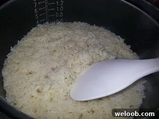 Coconut fried rice plated