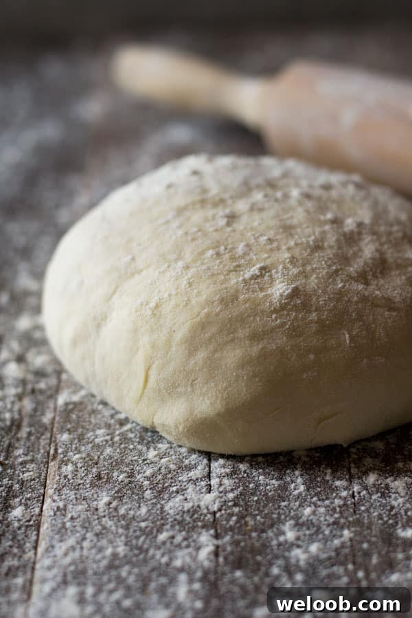 A close up of instant pizza dough without yeast