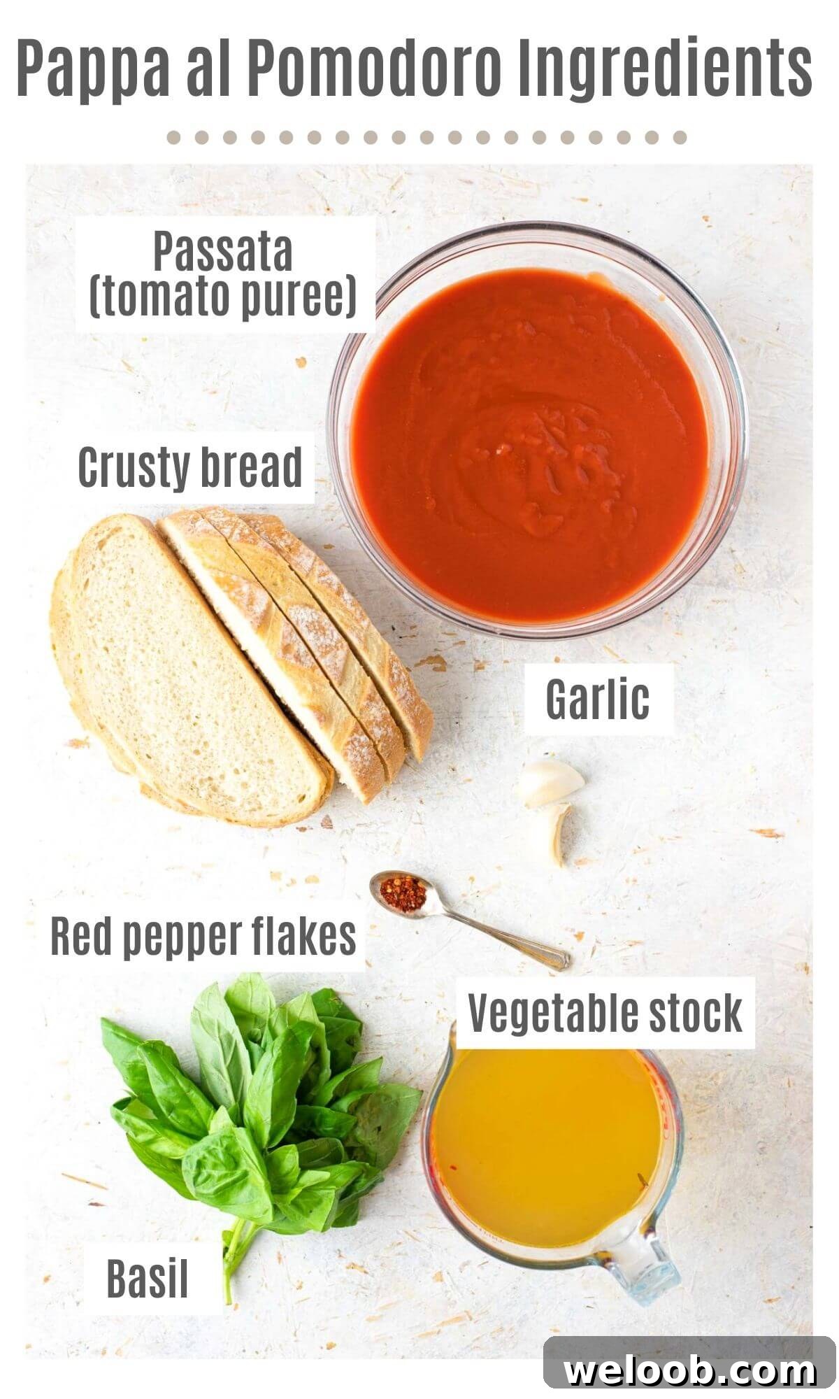 An overhead shot of all the ingredients you need to make pappa al pomodoro