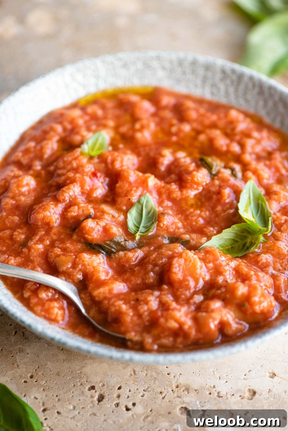 A close up of Pappa al Pomodoro in a bowl