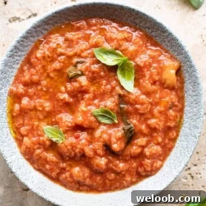 A close up of a bowl of pappa al pomodoro topped with basil and olive oil
