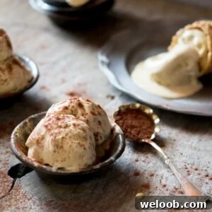 Tiramisu ice cream