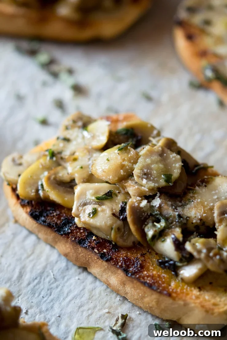 A close up of mushroom toasts with oregano and parmesan