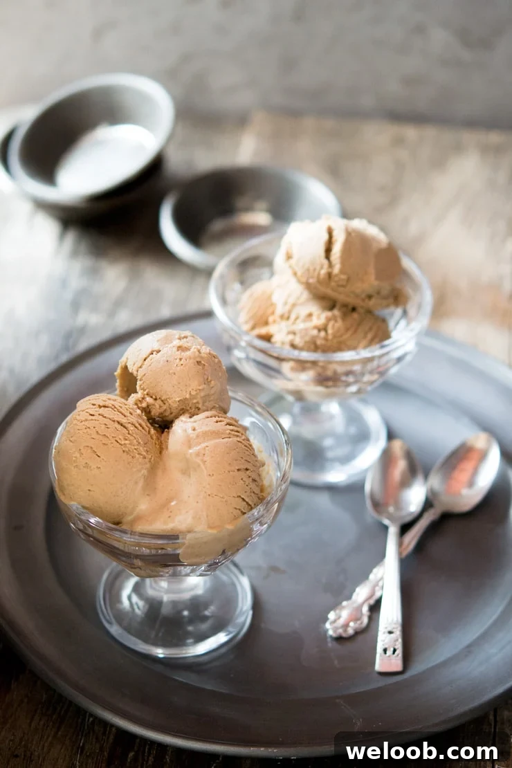 Chocolate hazelnut ice cream recipe Inside The Rustic Kitchen