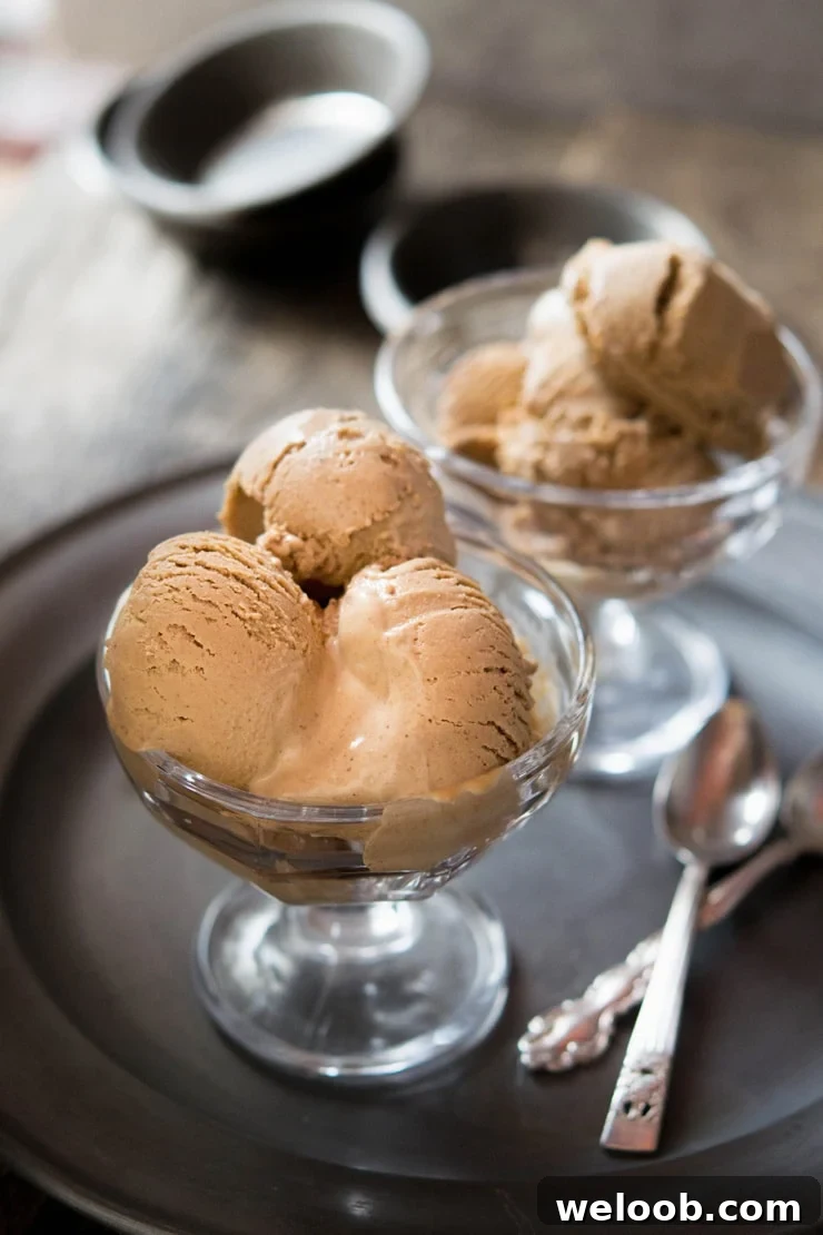 Chocolate hazelnut ice cream recipe Inside The Rustic Kitchen