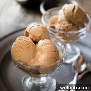 Chocolate hazelnut ice cream